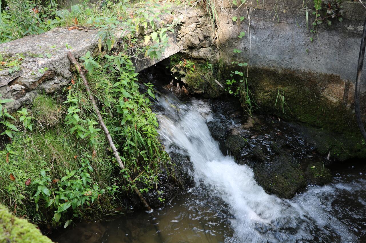 Bed and Breakfast Moulin de Vilgris Clairefontaine-en-Yvelines Exterior foto